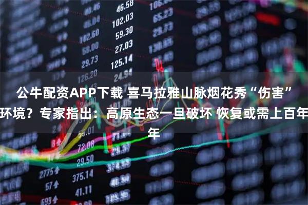 公牛配资APP下载 喜马拉雅山脉烟花秀“伤害”环境？专家指出：高原生态一旦破坏 恢复或需上百年