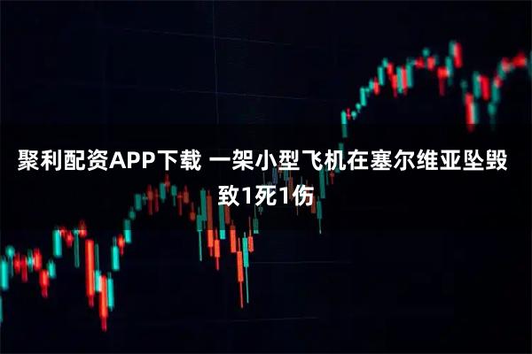 聚利配资APP下载 一架小型飞机在塞尔维亚坠毁 致1死1伤