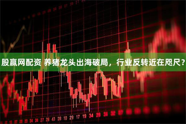 股赢网配资 养猪龙头出海破局，行业反转近在咫尺？